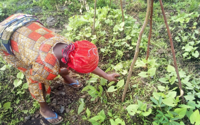 Women fight hunger with agriculture in Congo