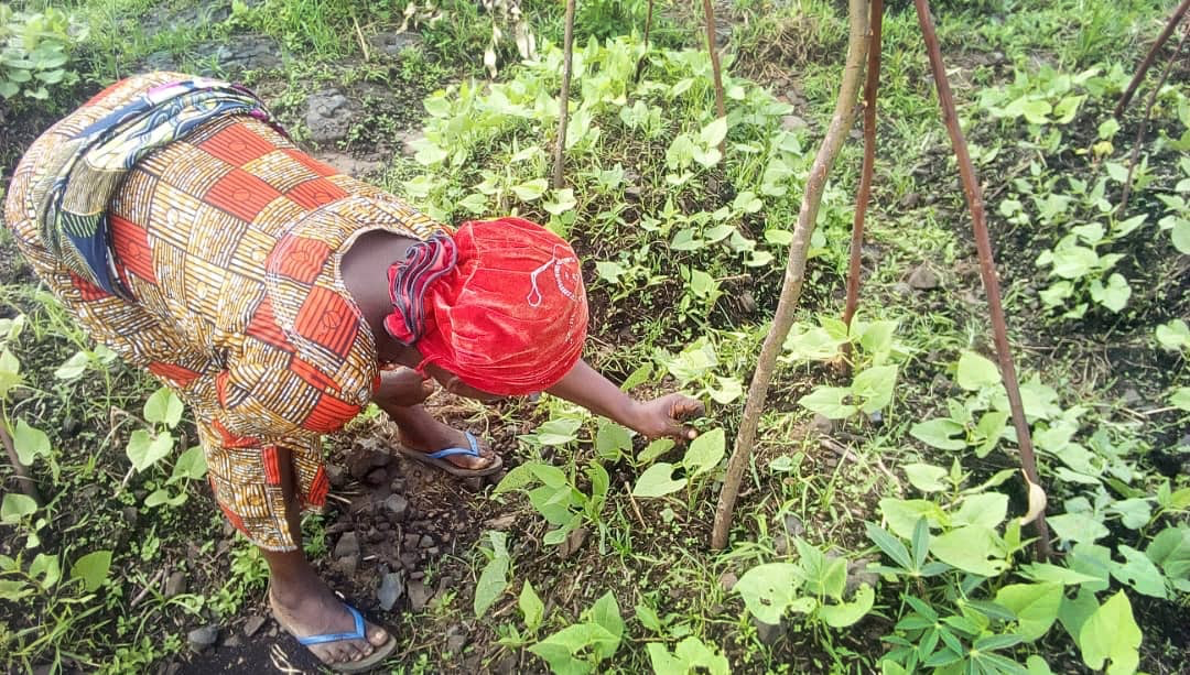 Women fight hunger with agriculture in Congo